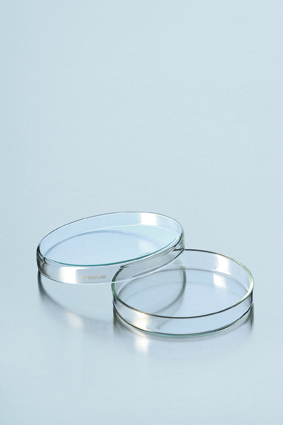 STERIPLAN®-Petrischale, 40 x 12 mm, Kalk-Soda-Glas