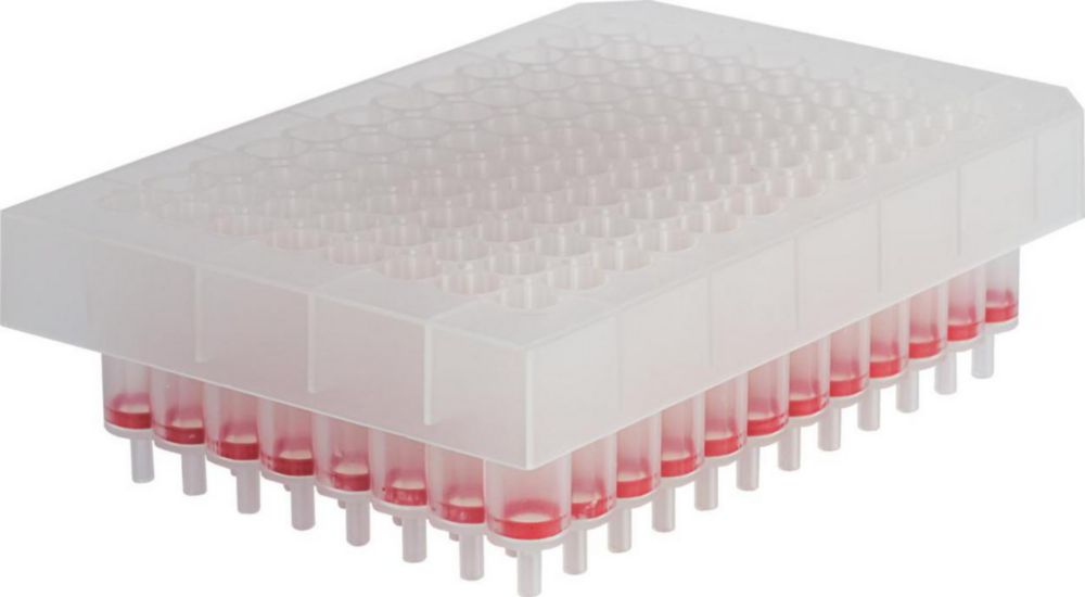 Genomic DNA from blood Genomic DNA from blood
