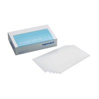 Storage Film (selbstklebend), 100, 100 Stück Storage Film (selbstklebend), 100, 100 Stück
