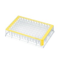 Deepwell plate 96/500µl, Normalpackung, 40 Stück Deepwell plate 96/500µl, Normalpackung, 40 Stück
